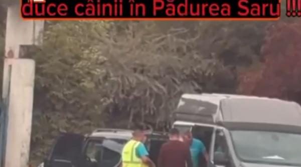caini capturati slatina dusi padure saru