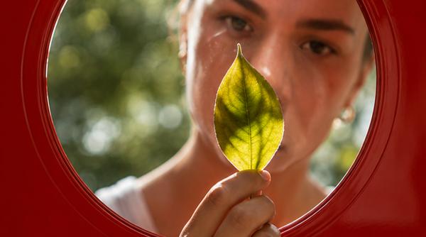 Planta medicinală care îți oglindește sufletul, în funcție de data nașterii