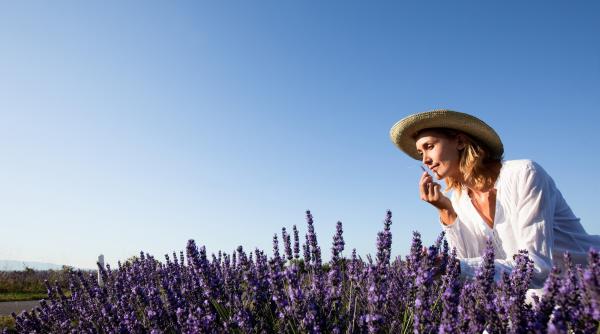 Afacerea care înflorește în România. Mierea din această plantă costă 35 de lei borcanul