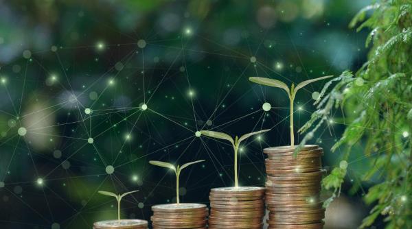 SME Eco-Tech: Un nou instrument de finanțare pentru IMM-uri