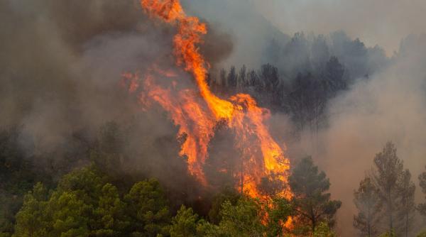 Turul Franței 2026, în pericol din cauza incendiilor. Etapă fără spectatori