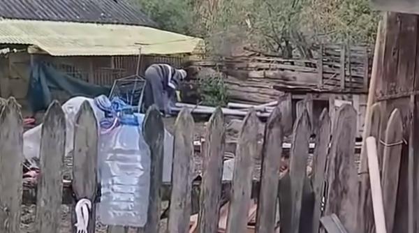 Un bătrân a ucis o pisică. Acum este cercetat penal
