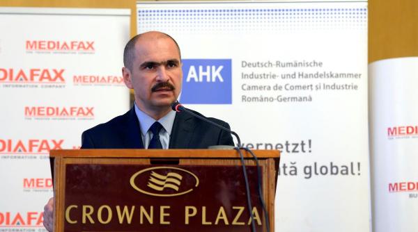 Udrea redeschide subiectul referendumului din 2012: „Bolojan a fost alături de PSD”