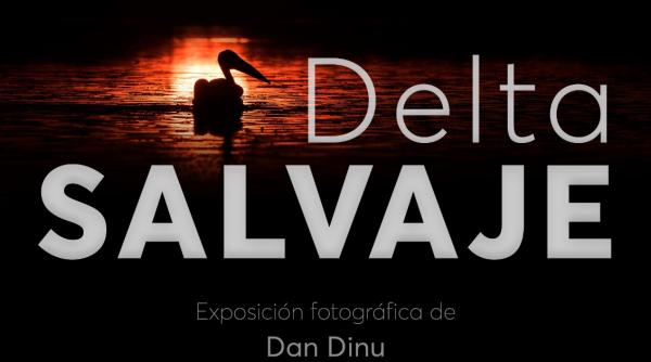 Expoziția „Delta Sălbatică” își începe itinerarea internațională la ICR Madrid