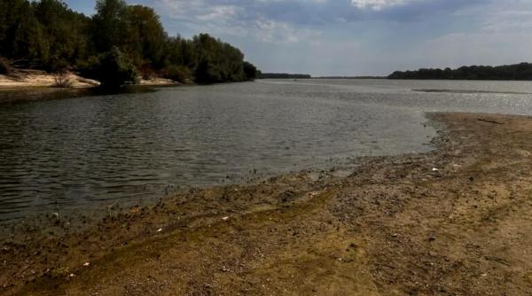 Turiștii nu renunță la „plaja de la Dunăre”: Petiție pentru redeschiderea și autorizarea zonei Gostinu