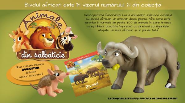 A venit timpul să cunoaștem bivolul african, în numărul 21 al Colecției „Animale din sălbăticie”, la chioșcuri din 21 iulie!