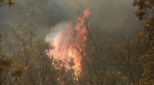 Franța evacuează zeci de mii de persoane din cauza incendiilor de vegetație. MAE avertizează românii care călătoresc în sudul țării