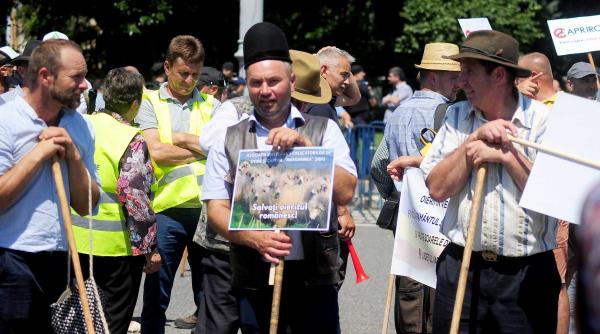 incidente ciobani jandarmi protest organizat piata presei