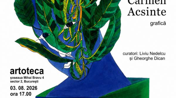 vernisajul expozitiei de grafica semnata de artista vizuala carmen acsinte la galeria artotecii bmb