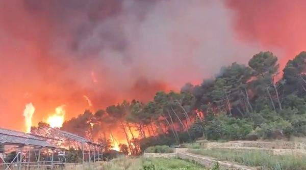 Alertă în Caraș-Severin: Incendiul de vegetație din Reșița s-a reaprins puternic. Intervin forțe din două județe