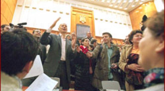 parlament circul bradului