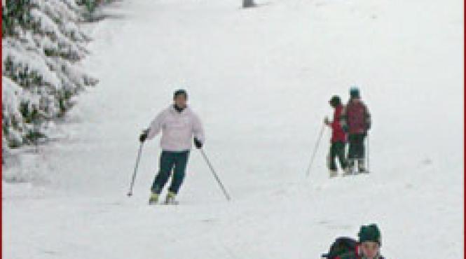 distractie in parang