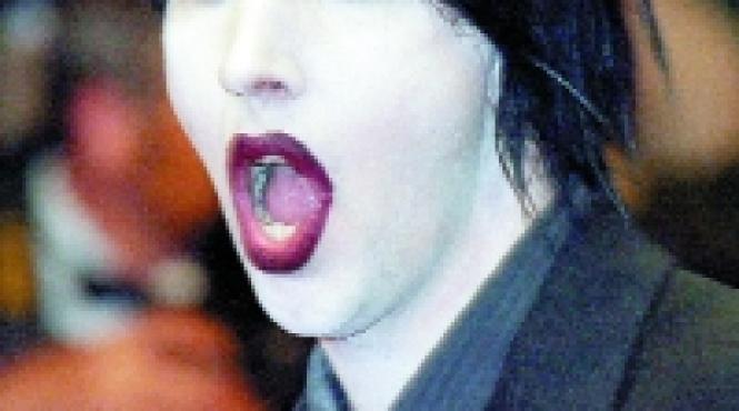 imagine pisica din superstar