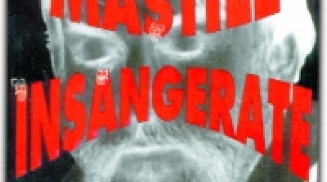 regasirea prin cenusa ultima parte