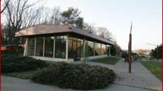 videanu fraierit afacere pedista in herastrau