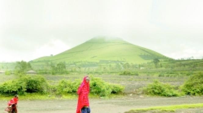 masaii tanzanieni fete vaci si lenesi