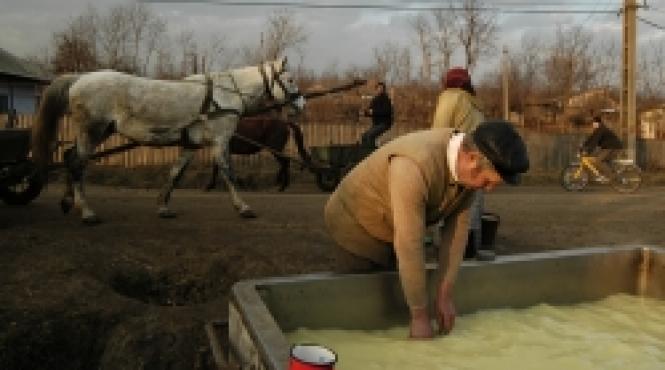 1907 2007 un secol de flamanzi rascoala inseamna balcescu presedinte
