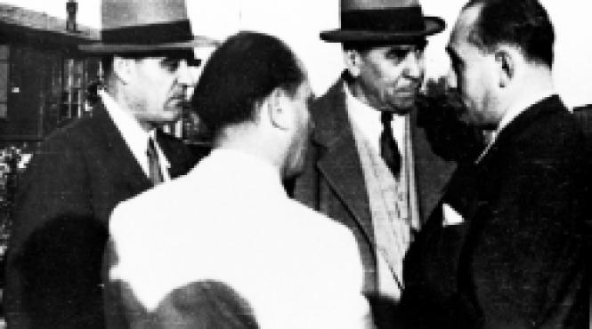 scindati in doua tabere