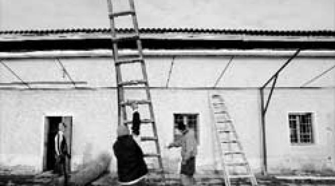 inchisoarea tinerilor destinul unor nelegiuiti