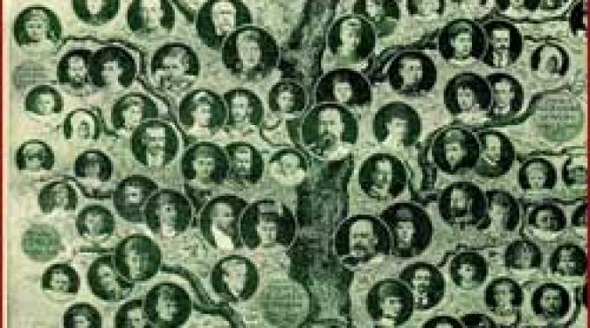 la bbc cine crezi ca esti cu adevarat