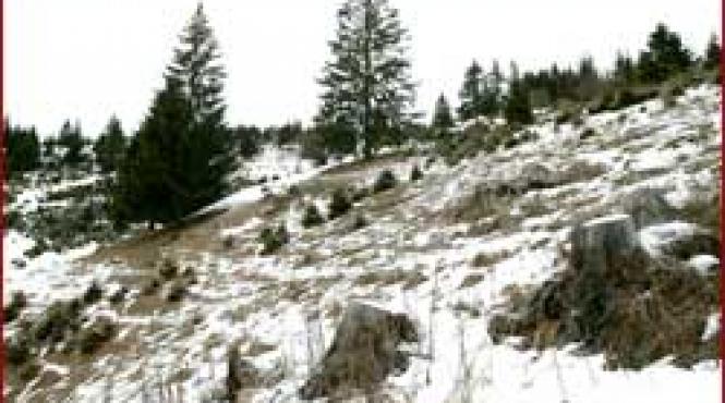 campanie sos tezaurul natural