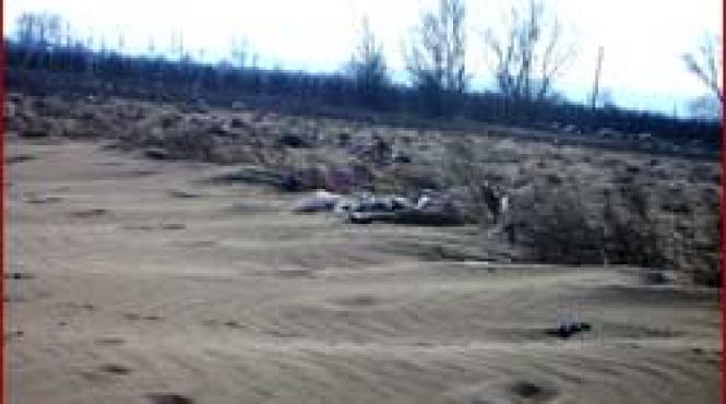 desertificarea olteniei seceta defrisari masive si lipsa impaduririlor