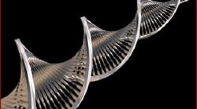 rasa de semizei tinuti in frau de propriul adn