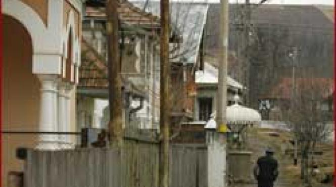 1907 2007 un secol de flamanzi lucraturi intre potentati