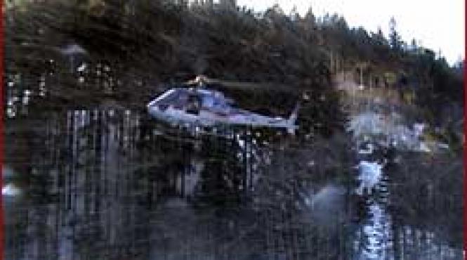 cronica unei disparitii inexistente