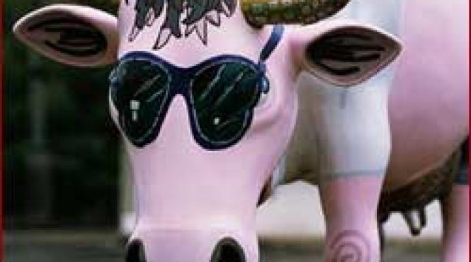 sondaj englezii sunt convinsi ca vacile fac oua