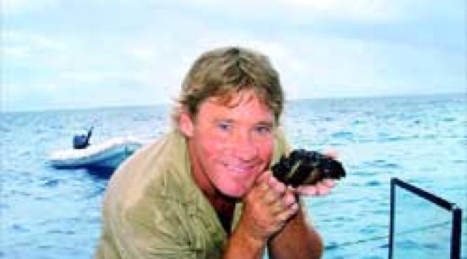 documentare omagiu steve irwin