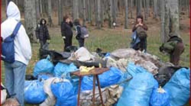 ecologisti padurea din busteni curatata de voluntari