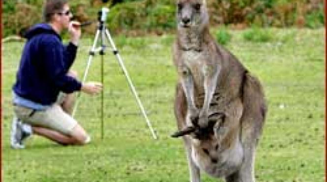 inventie verde tv solutii la targul de programe de televiziune