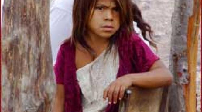 pe urmele indienilor