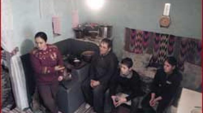 afacere grasa cu reintegretei