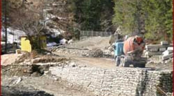 hacuirea retezatului continua ministerul mediului stie de drumul lui basescu