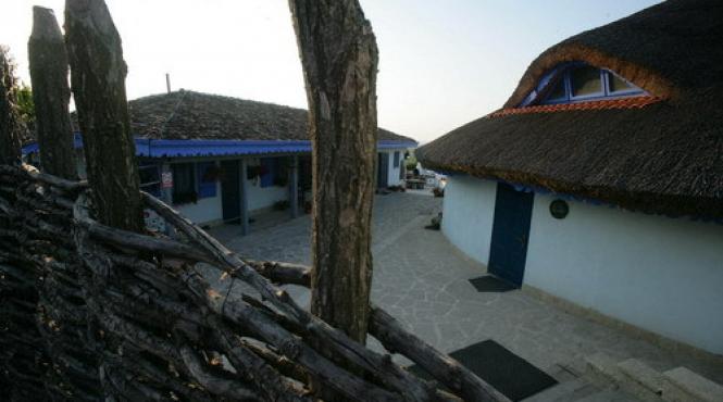 safari deluxe cu cerbi si broaste testoase