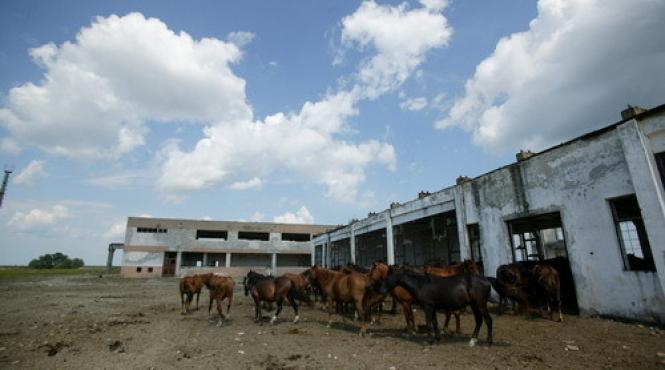 caraorman hiroshima de la gurile dunarii