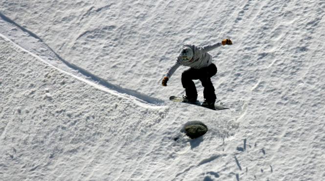 ecoul malinului adevarata nebunie