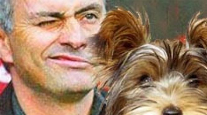 chelsea jose mourinho arestat din cauza catelului