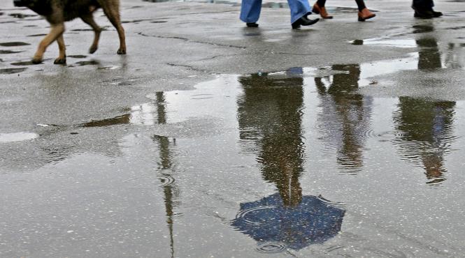 prognoza vin sase zile de ploi