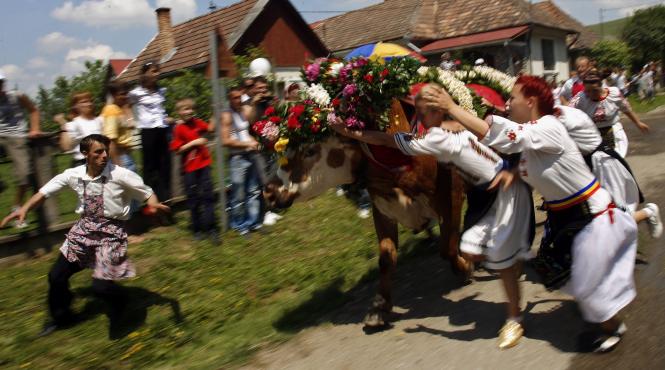 corrida de la manastirea