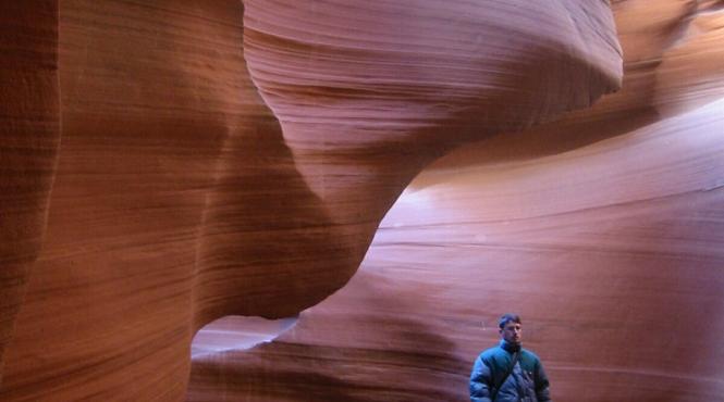 vanator prin codrii dinozaurilor