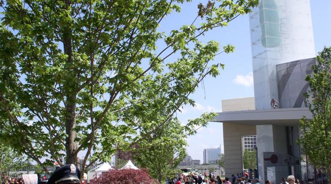 spectacol cu vanzare