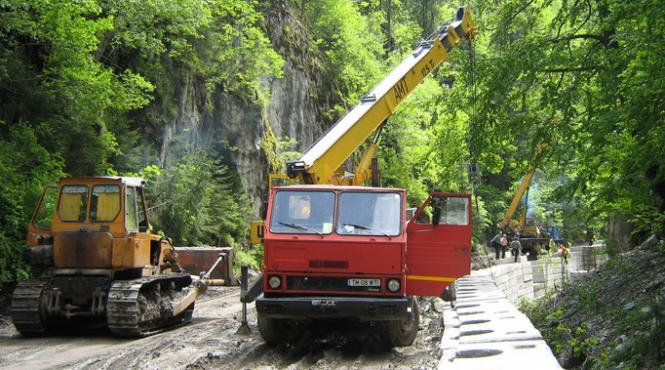 drumul lui basescu distrugeri de fauna si flora