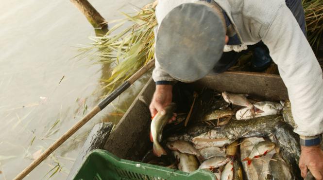 braconajul denuntat si de pescari