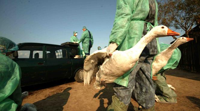 cimitirul anchetelor