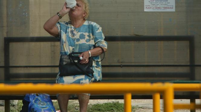 razboinicii caniculei