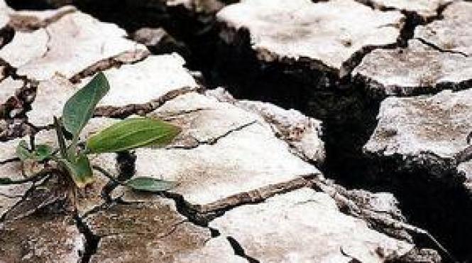 moldova vladimir voronin cere ajutor international