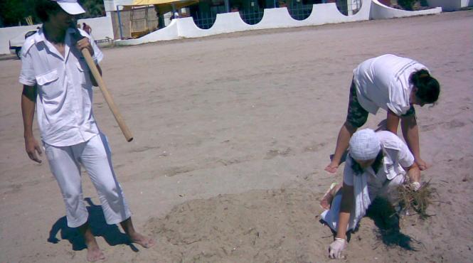 ecoassist deseuri colectate selectiv pe plaja din venus